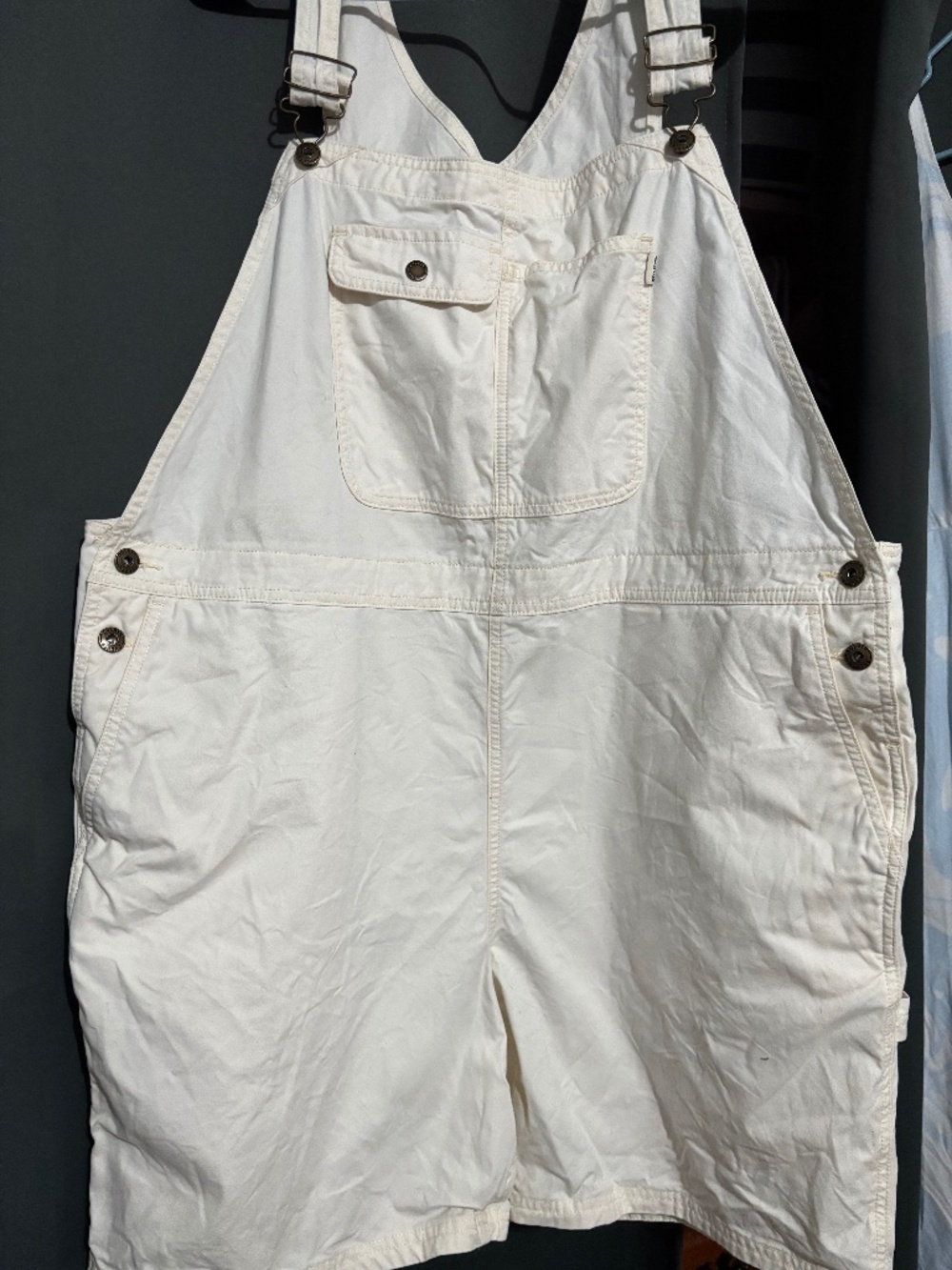 Duluth overalls.  Size XXL white